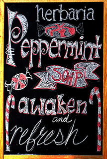 Melissa's Herbaria Peppermint blackboard