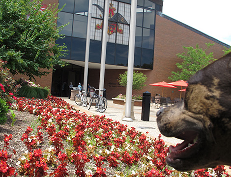 Anheuser-Busch Brewery Tour Center
