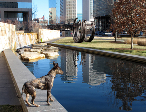CityGarden