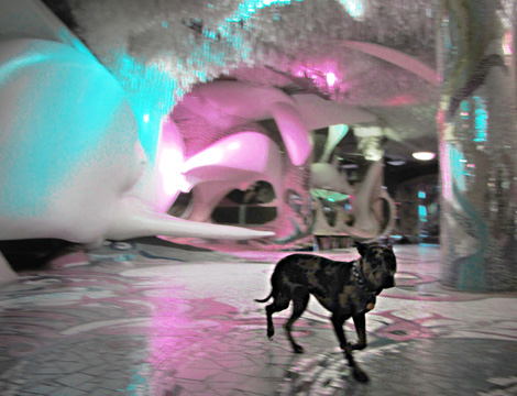 City Museum