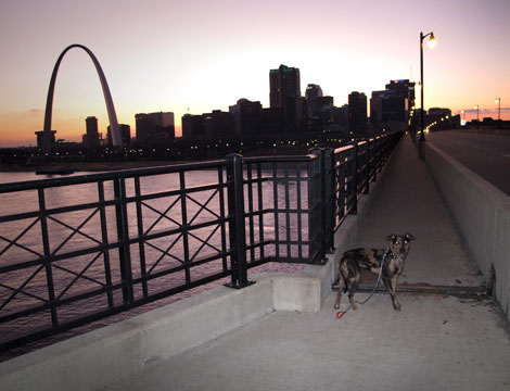 Eads Bridge, East St. Louis, Illinois