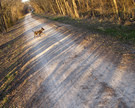 Katy Trail
