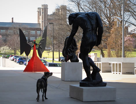 Mildred Lane Kemper Art Museum, Washington University