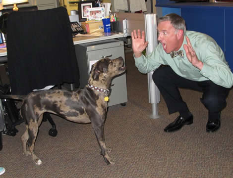 KTVI anchor John Pertzborn