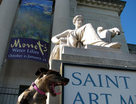 St. Louis Art Museum