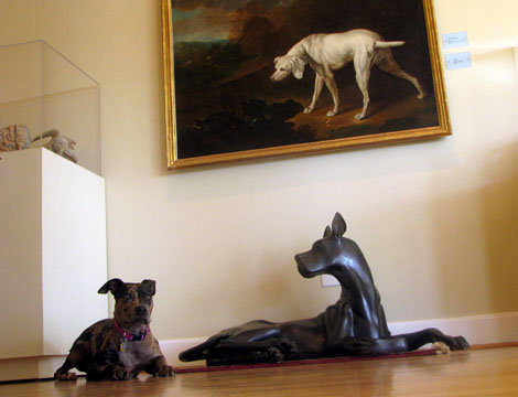 The American Kennel Club Museum of the Dog, Queeny Park, St. Louis County