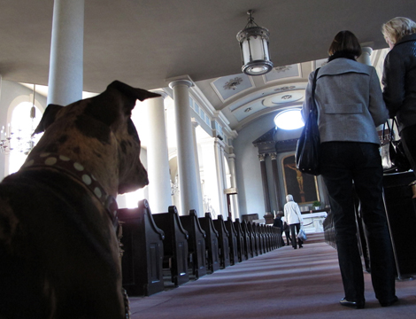 Basilica of St. Louis King, St. Louis Old Cathedral