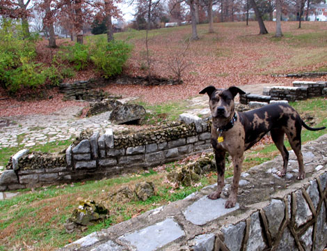 Sylvan Springs County Park