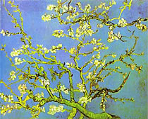 Vincent Van Gogh loves Herbaria all natural handmade almond spice soap