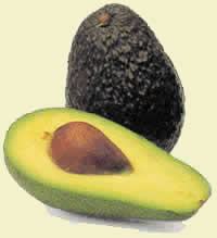 avocado close-up photo