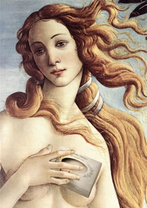 Venus uses herbaria lavender oatmeal soap