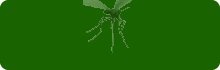 Herbaria Citronella Mist