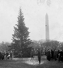 The 1st Presidential Christmas tree