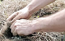 herbaria all natural handmade soap is great for washing gardeners' hands