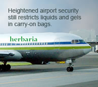 herbaria's board of directors travels in style in the company jet