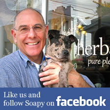 follow Herbaria and Soapy on Facebook