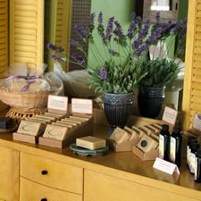 lavender display