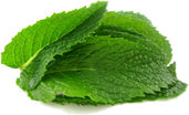 mint