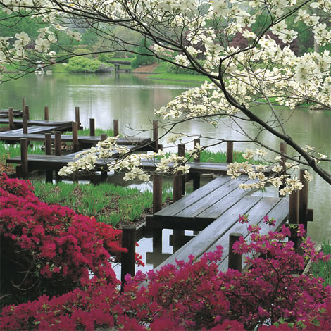Missouri Botanical Garden