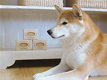 Molly loves herbaria all natural handmade pennyroyal pet soap