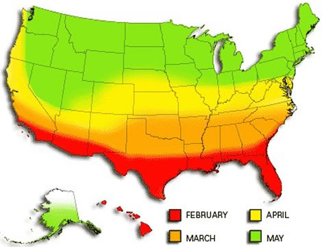 Mosquito season in the U.S.