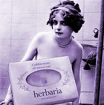 herbaria uses lavender in its all natural handmade soaps