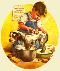 herbaria all natural handmade pennyroyal pet soap is perfect for getting your pooch ready for the dog show