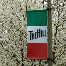pear tree on the hill in St. Louis