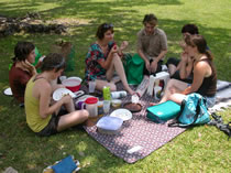 Be sure to have Citronella Mist in your picnic basket.