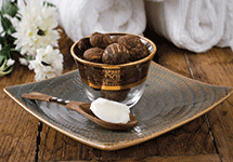 shea nuts in bowl with spoon of shea butter
