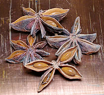 herbaria uses star anise in its all natural soaps