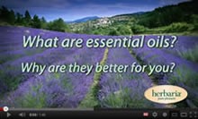 The Benefits of Essential Oils