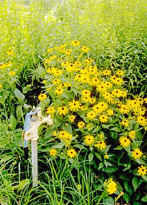 herbaria all natural soap is great for gardeners