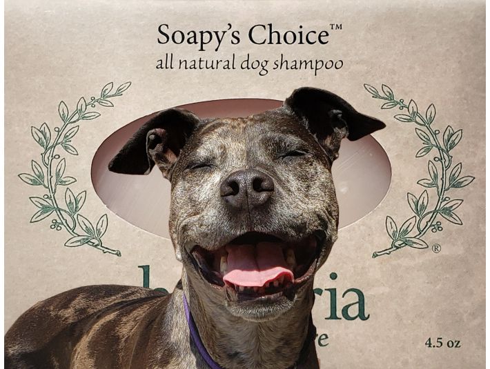 Soapy's Choice