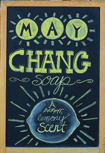 Melissa's Herbaria May Chang chalkboard