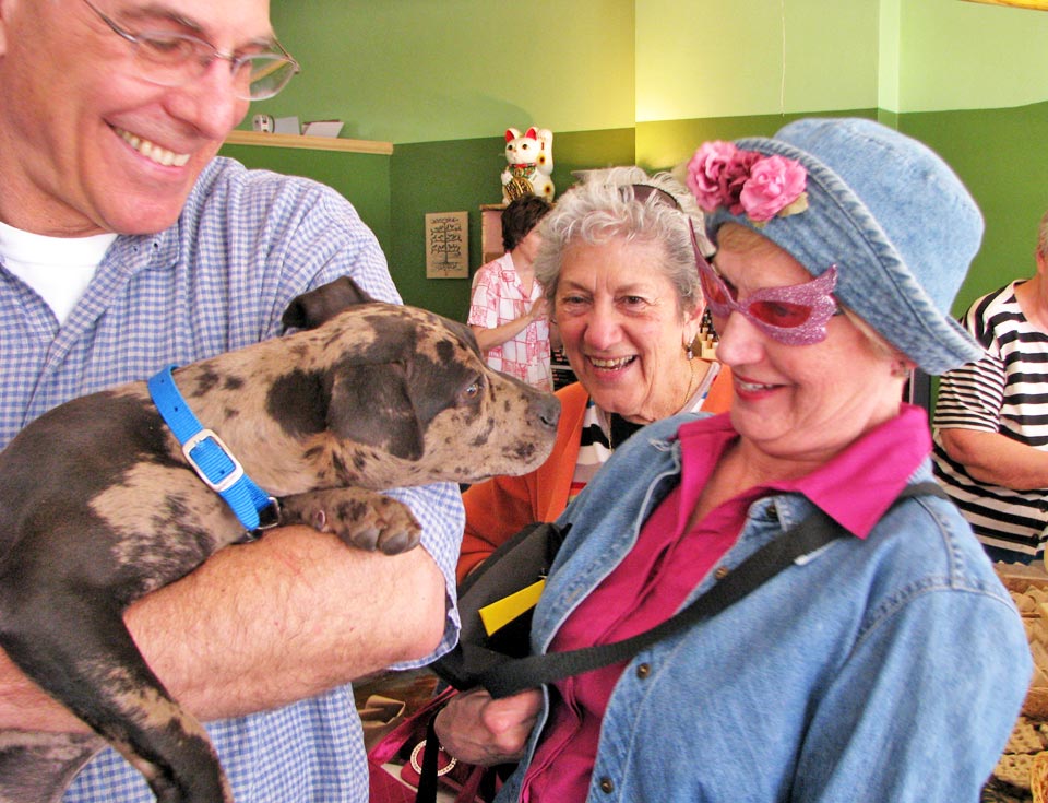 Soapy as a puppy at Herbaria