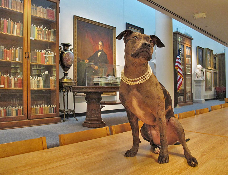 St. Louis Mercantile Library St. Louis Mercantile Library