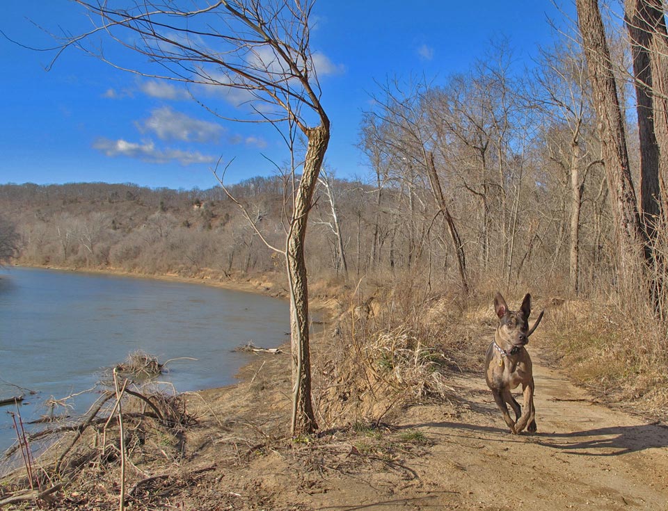 Castlewood State Park Castlewood State Park