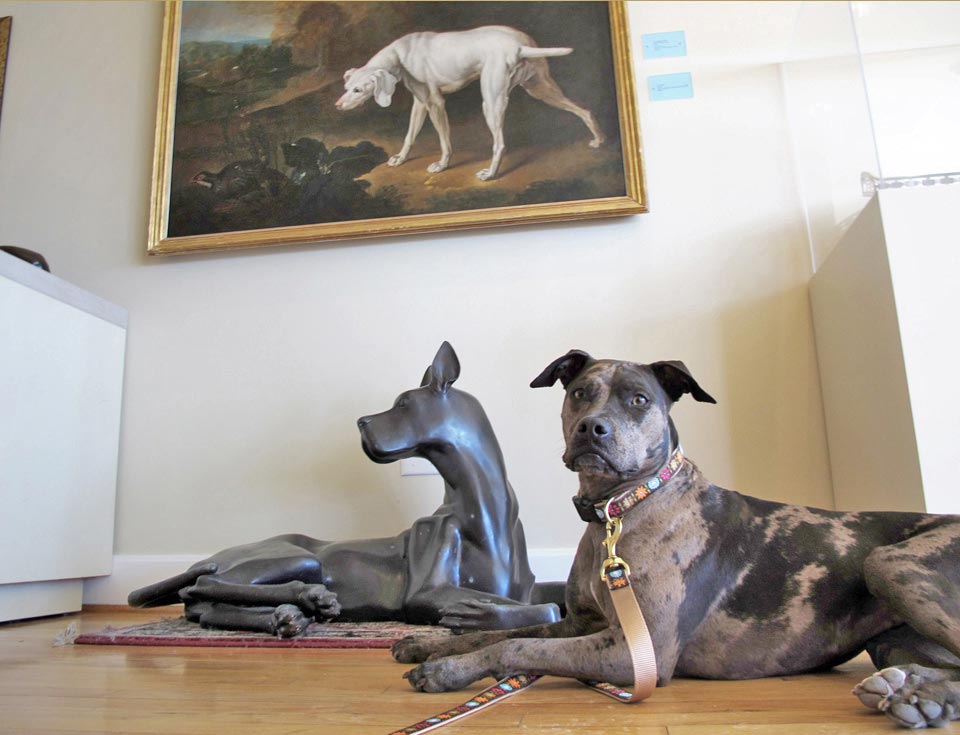 AKC Museum of the Dog, Queeny Park, St. Louis AKC Museum of the Dog, Queeny Park, St. Louis