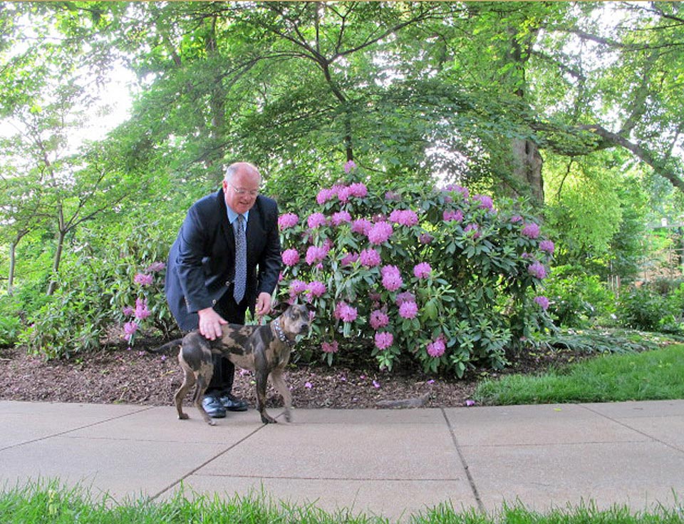 Missouri Botanical Garden Director Peter Wise Jackson Missouri Botanical Garden Director Peter Wise Jackson