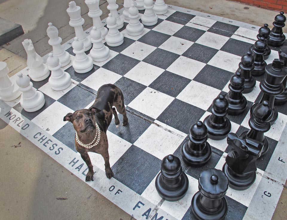 World Chess Hall of Fame World Chess Hall of Fame