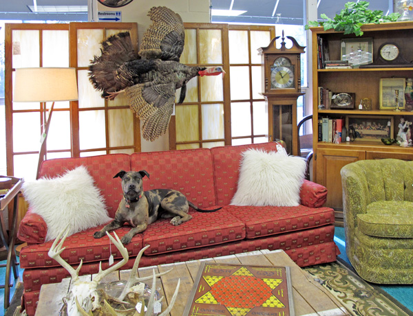 Antique markets on The Hill in St. Louis