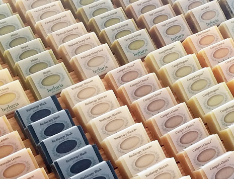 Ha'bars