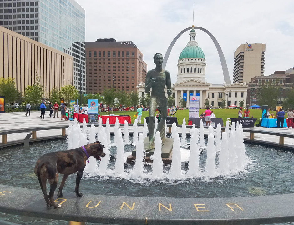 Kiener Plaza St. Louis Kiener Plaza St. Louis