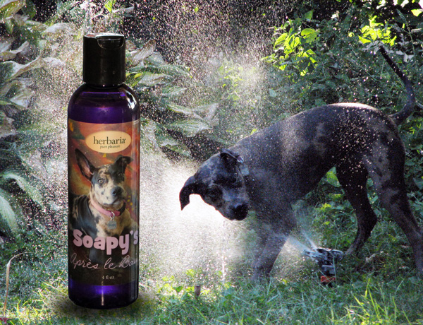 Saopy's Apres le Bain
