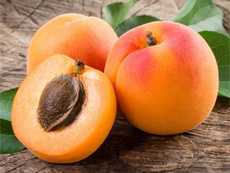 apricots