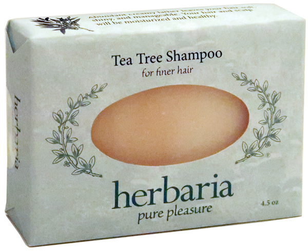 Tea Tree Shampoo